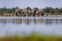 CLEMENT KIRAGUS PHOTO.jpg