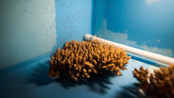 Image 1 Final (9).png