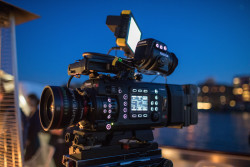 C700 SIlver Sturgeon Lifestyle 32-min.jpg