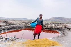The Salt Farmer - Overall Winner_Kuloba Peter Tera_P_2020.jpg