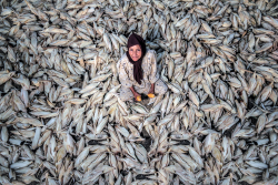 Image captured by People’s Choice Winner Mohamed Nageeb Nasr (Egypt) - resized.png