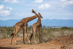 USHA HARISH PHOTO.jpg