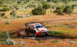 Image captured by John Wambugu on Canon EOS-1D X Mark III.jpg